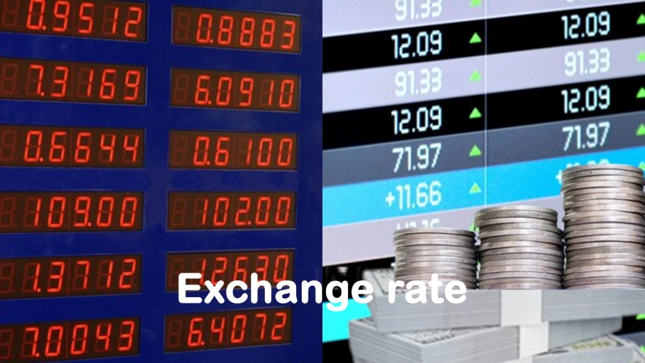 Global and Egyptian exchange rates